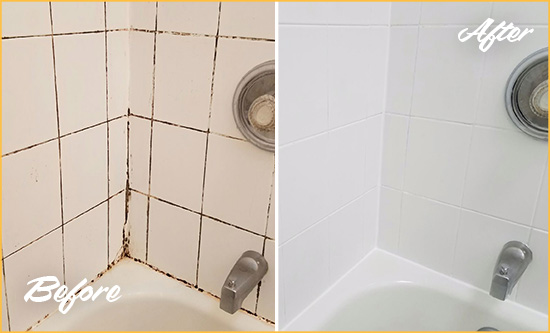 Before and After Picture of a Lighthouse Point Shower Tile and Grout Cleaned to Eliminate Mold