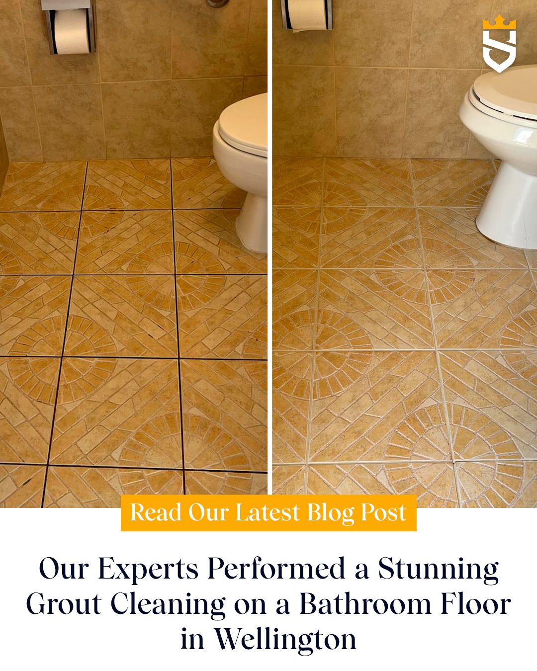 Our Experts Performed a Stunning Grout Cleaning on a Bathroom Floor in Wellington